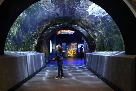 Aquarium cincinnati ohio - Platinum Member Exclusive: 2 Bonus Good Any Day Guest Tickets - A $79.98 value! Platinum Member Exclusive: 1 FREE Virtual Reality Ticket - A $10.00 value! Platinum Member Exclusive: 1 FREE Behind-the-Scenes Tour Ticket - A $29.99 value! **Annual Passholders can see their benefits here.